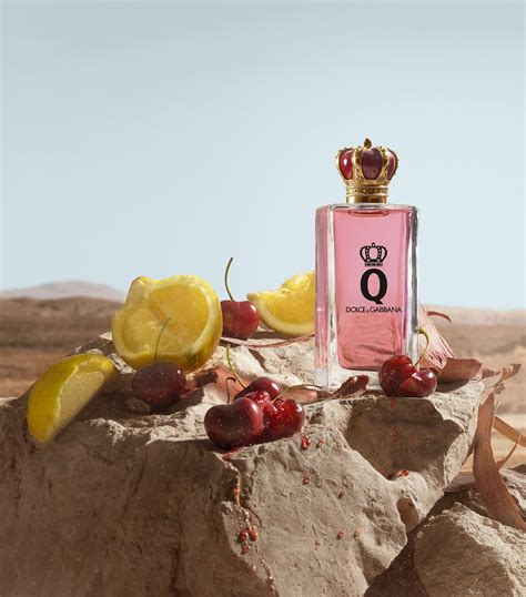 dolce gabbana q